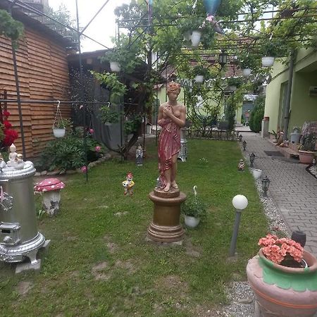 Casa Elena Daire Sighişoara Dış mekan fotoğraf