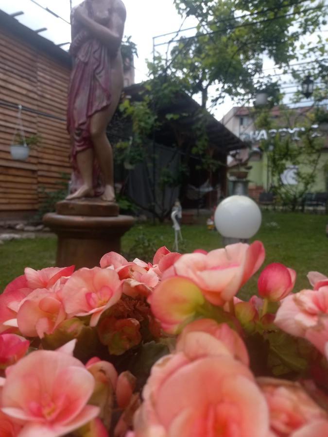 Casa Elena Daire Sighişoara Dış mekan fotoğraf