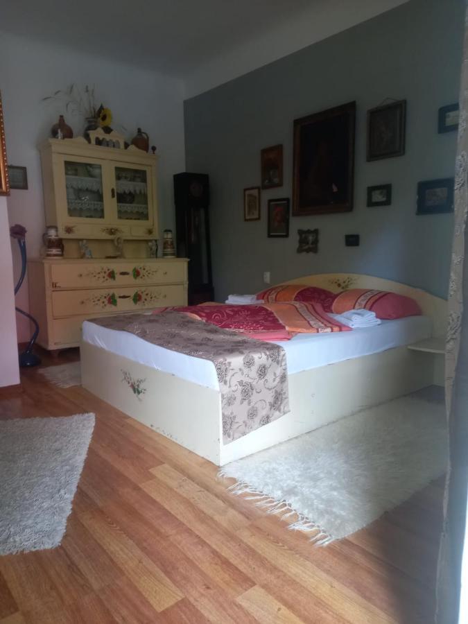 Casa Elena Daire Sighişoara Dış mekan fotoğraf