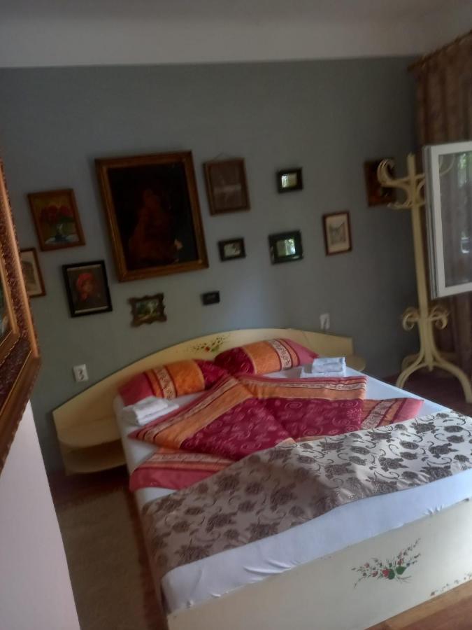Casa Elena Daire Sighişoara Dış mekan fotoğraf