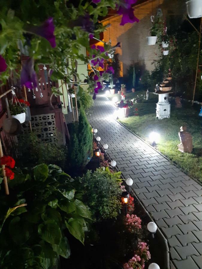Casa Elena Daire Sighişoara Dış mekan fotoğraf